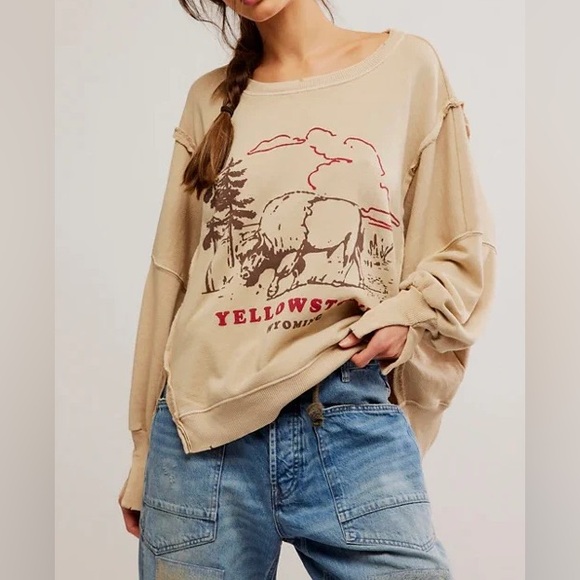 🆕FREE PEOPLE YELLOWSTONE We The Free Graphic Camden Pullover-Size Small - Picture 4 of 15